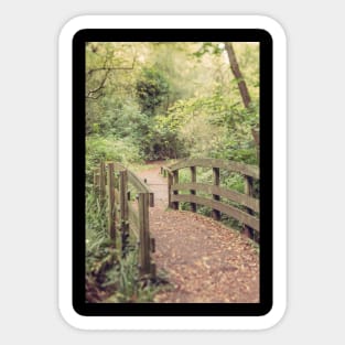 Path to the Bridge Sticker